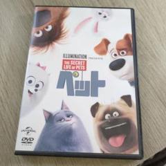 アニメ　DVD ペット　ユニバーサルスタジオ