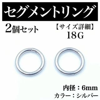 セグメントリング 18G 2本 フープピアス ボディピアス シルバー BP169