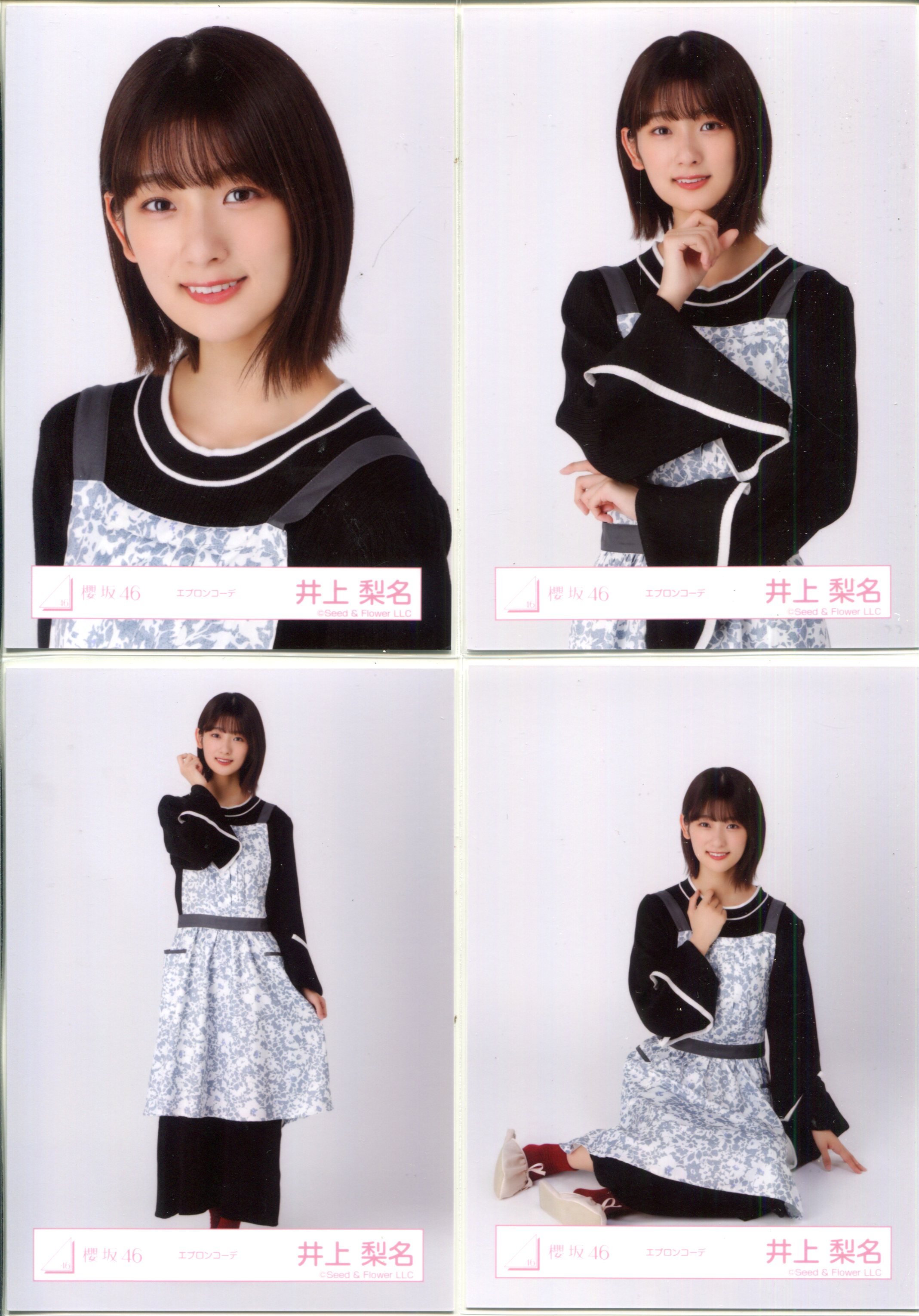 櫻坂46 ランダム生写真 井上梨名 エプロンコーデ コンプ